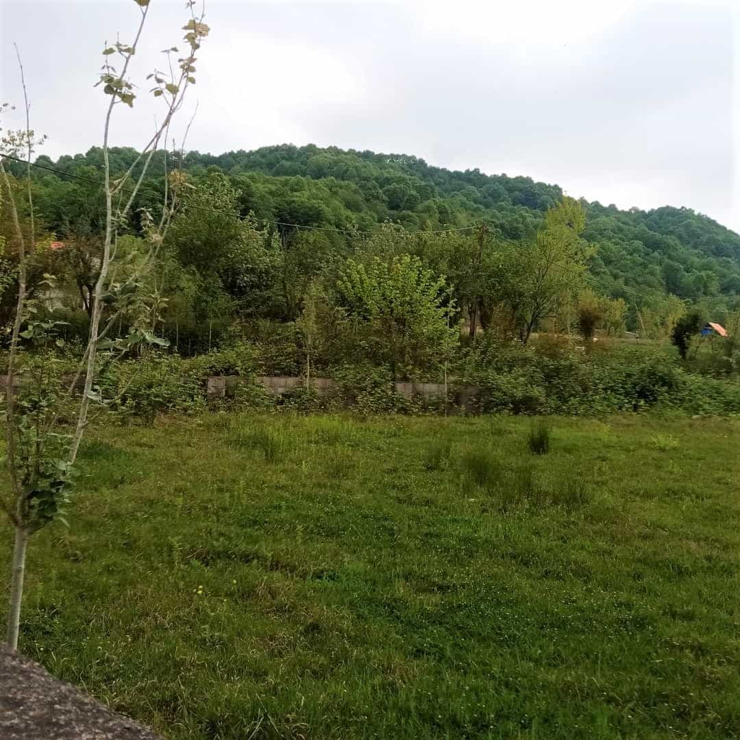 اجاره اقامتگاه بومگردی در سقالکسار رشت - نارنج همکف