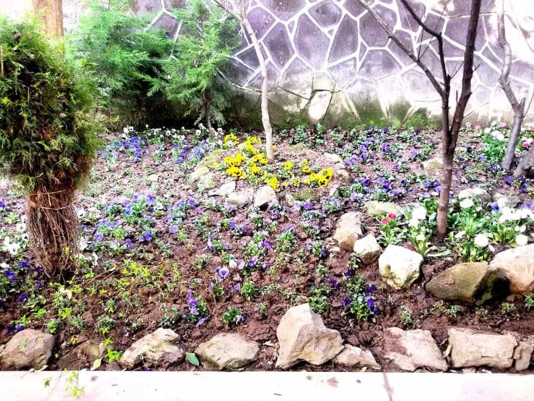 اجاره باغ و ویلا در محمودآباد