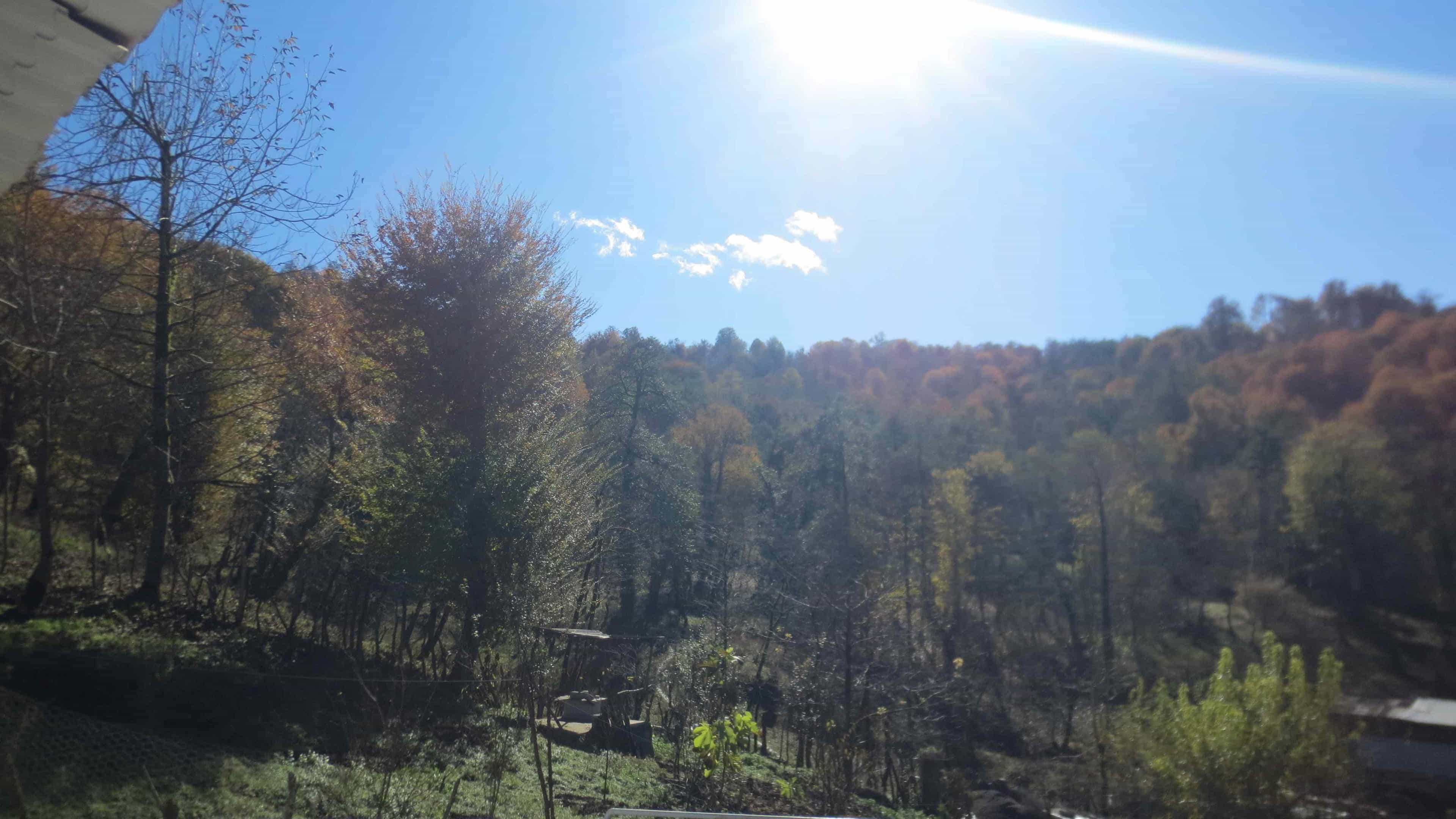 اجاره ویلا جنگلی در درزیکلا شیرگاه