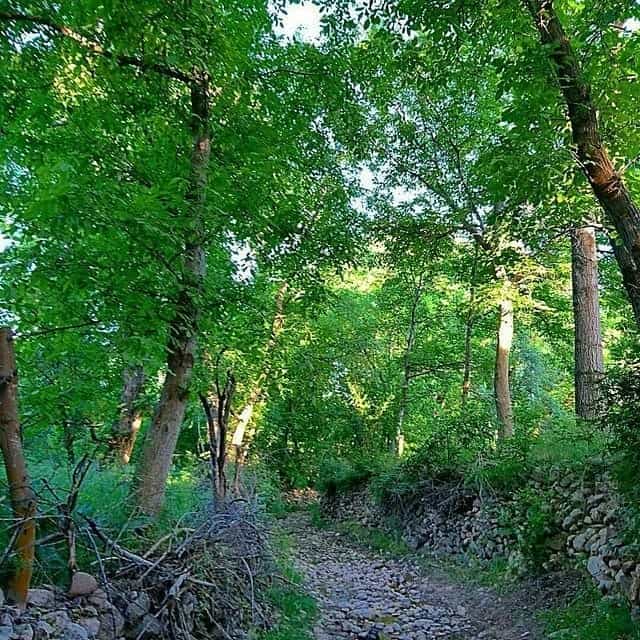 اجاره بومگردی طبیعت گردی روستایی سهرورد زنجان 