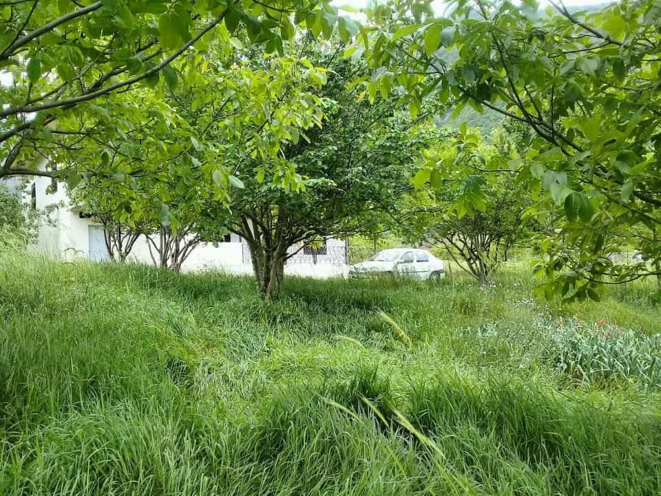 اجاره ویلامبله درتالش 
