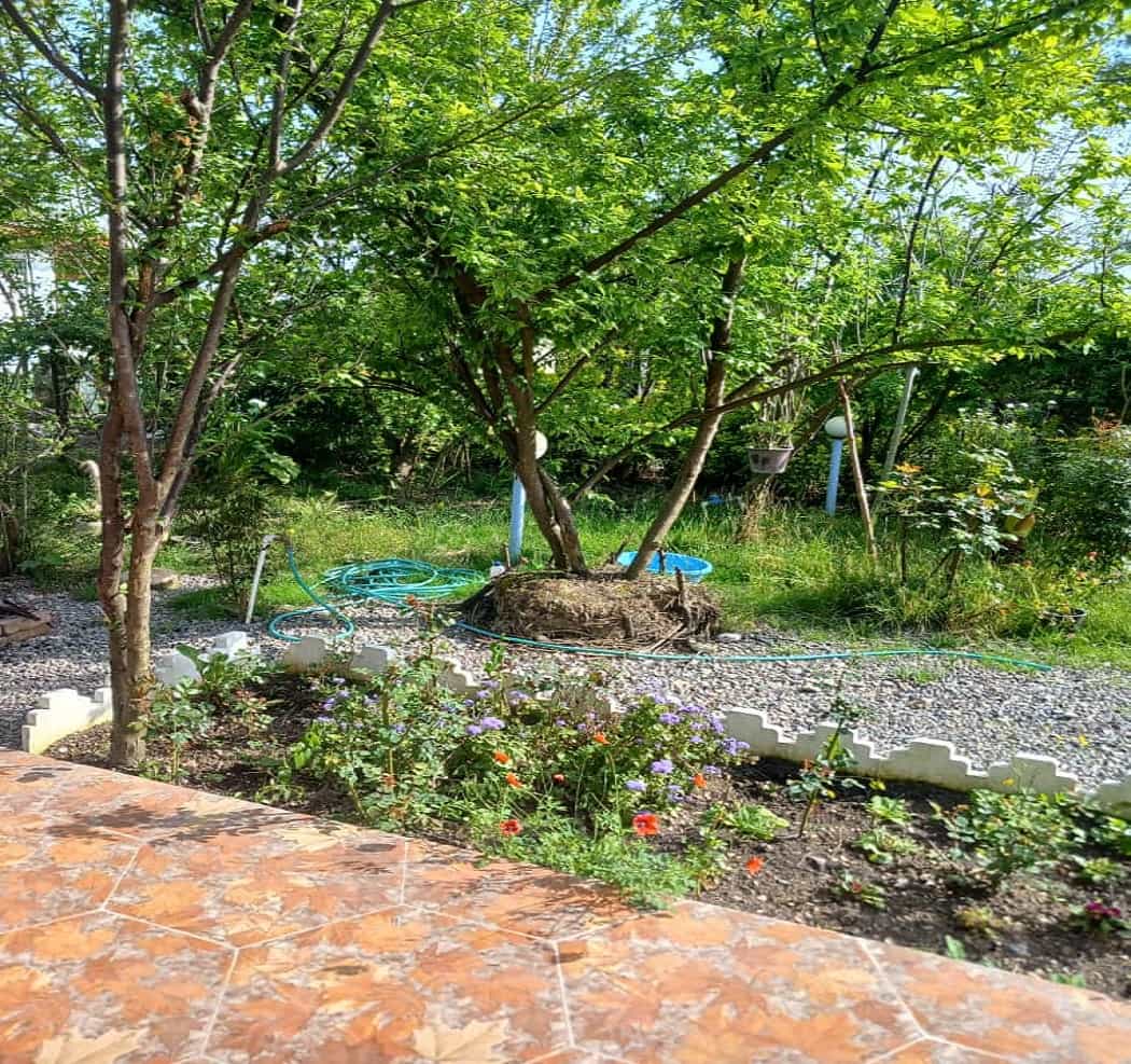 اجاره کلبه سوئیسی در طراز کوه گیلان