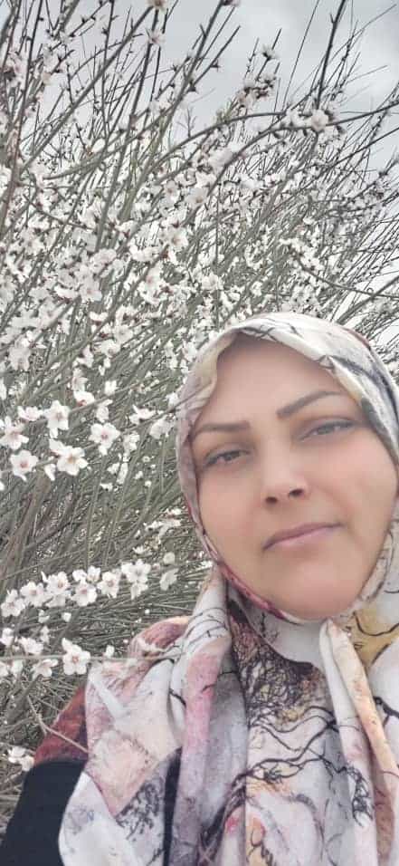 سیده