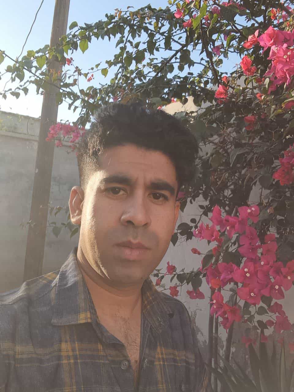 مسعود