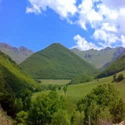 بایرام