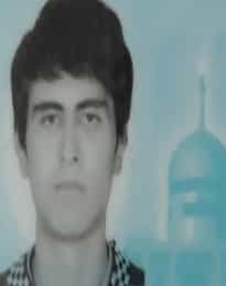 حامد