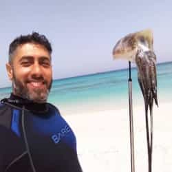 سینا