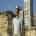 حامد