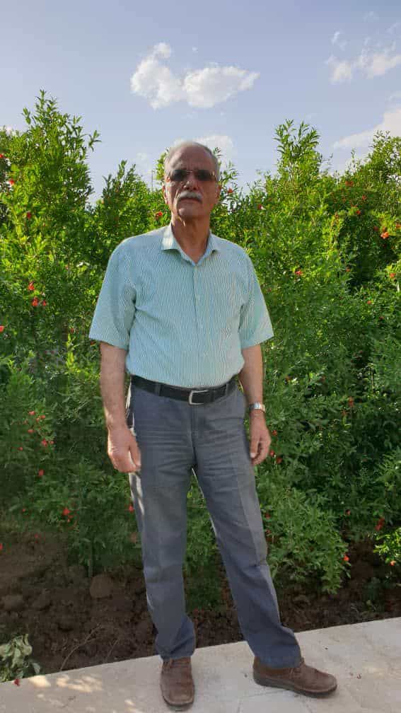 حامد