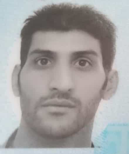 محمدرضا