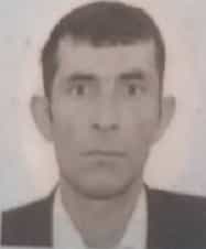 فیروز