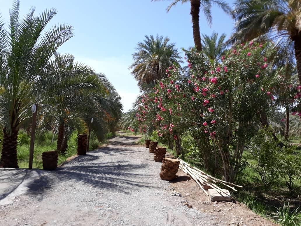 اجاره باغ‌ و ویلا در شهداد کرمان