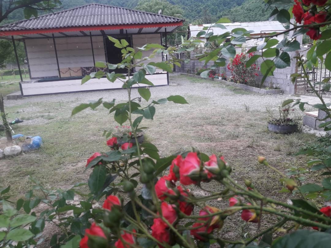 اجاره ویلا جنگلی در اسالم 