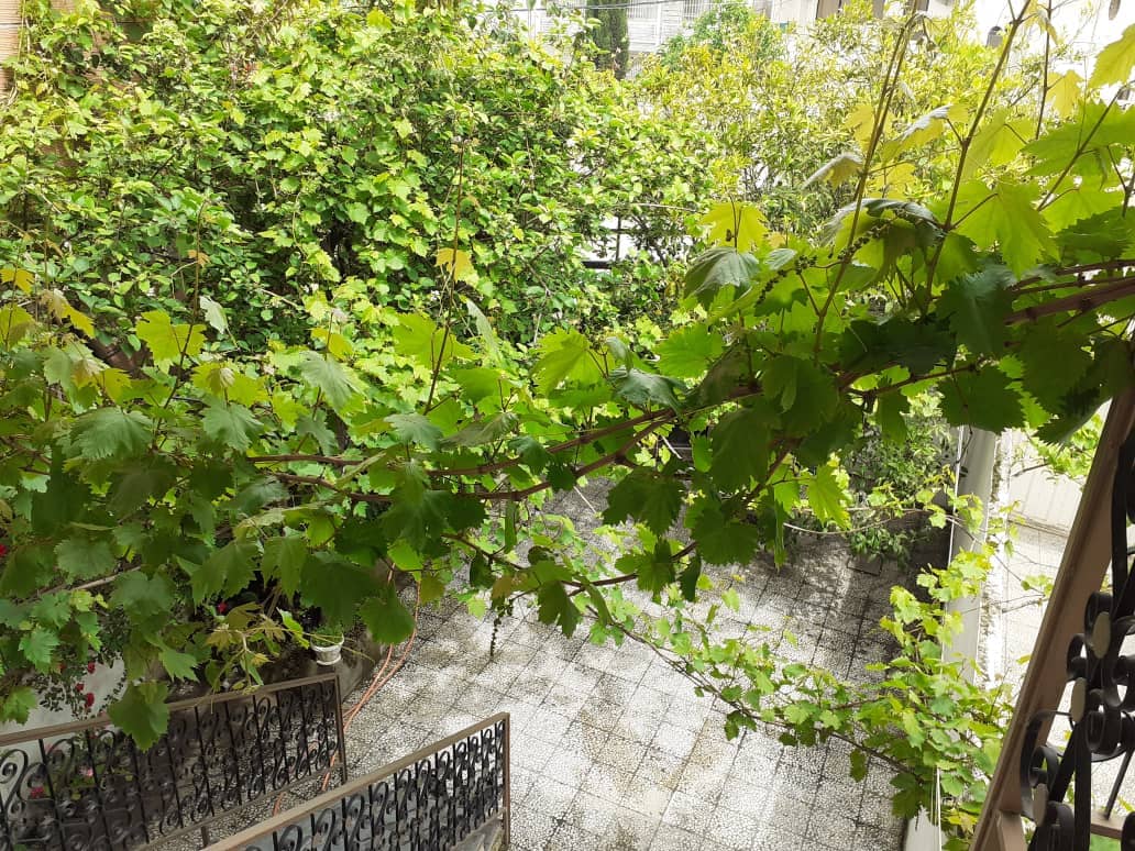 اجاره سوئیت مبله در جانبازان قائم شهر - 2