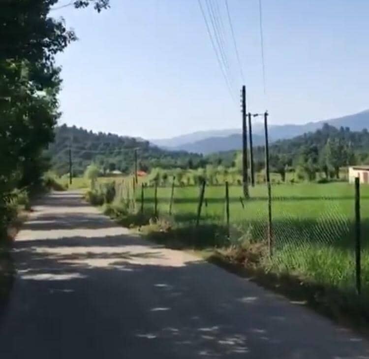 اجاره ویلا جنگلی در کلرم فومن 