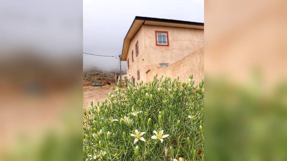 اجاره ویلای کوهستانی در چاشم شهمیرزاد واحد3