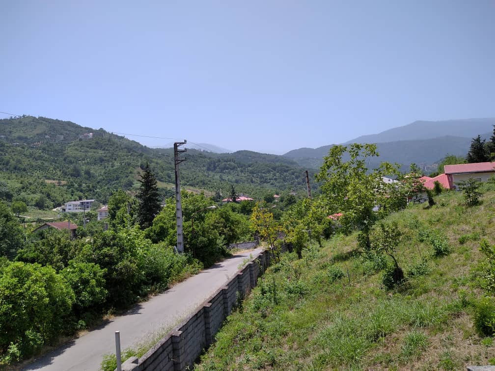 اجاره باغ و ویلا جنگلی در طلارسر رامسر