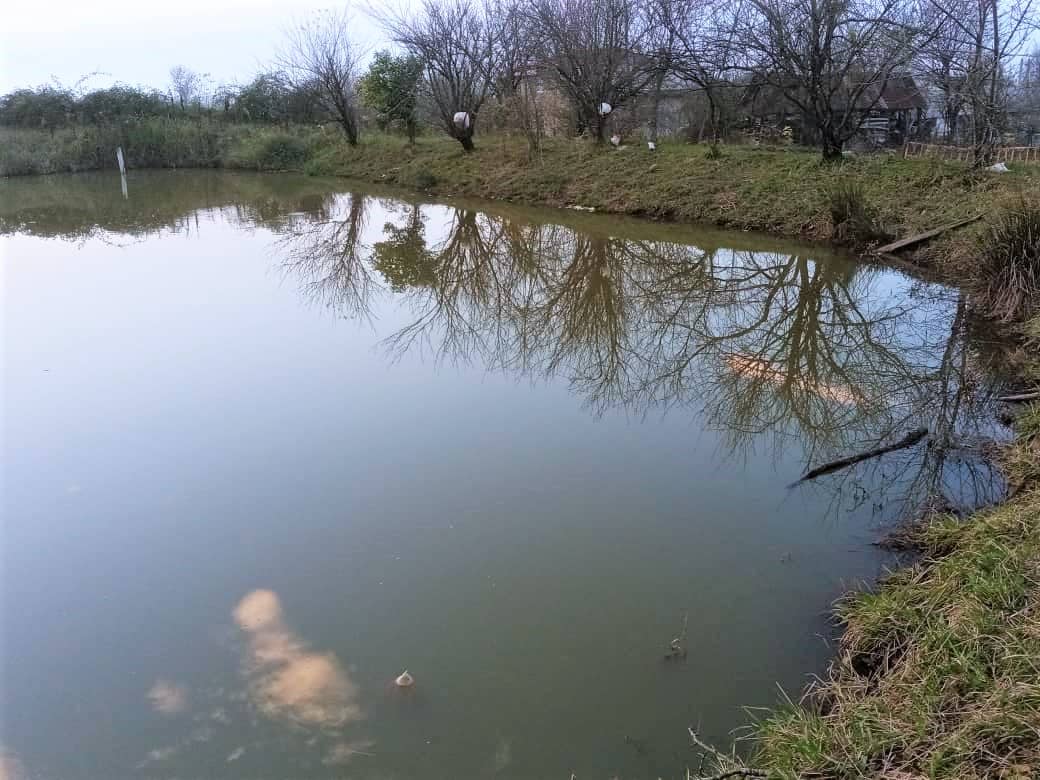 اجاره اقامتگاه سنتی ترنج در سقالکسار رشت -  ترنج اول