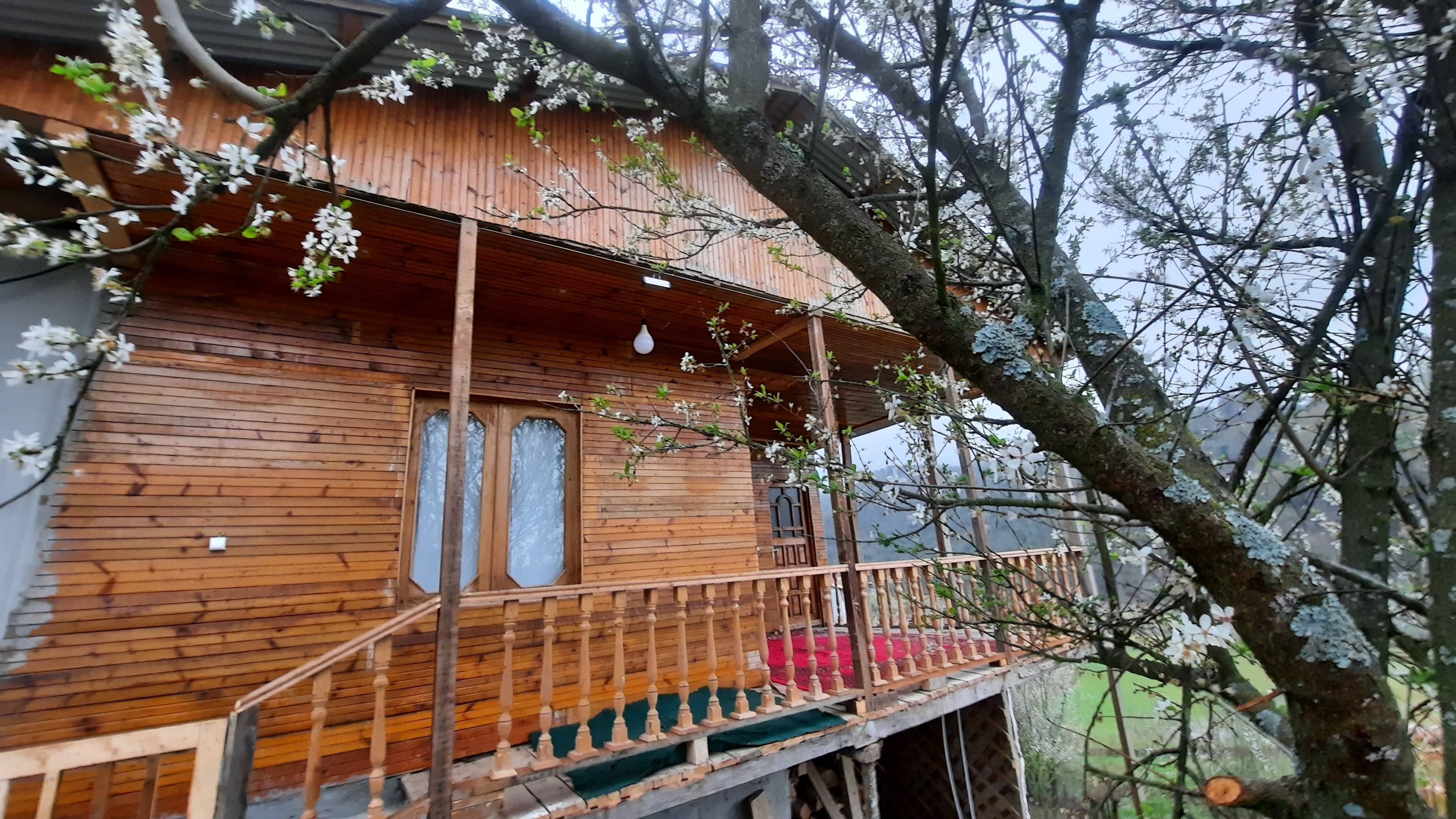 اجاره کلبه جنگلی در گلوگاه بابل - وَنوشِه