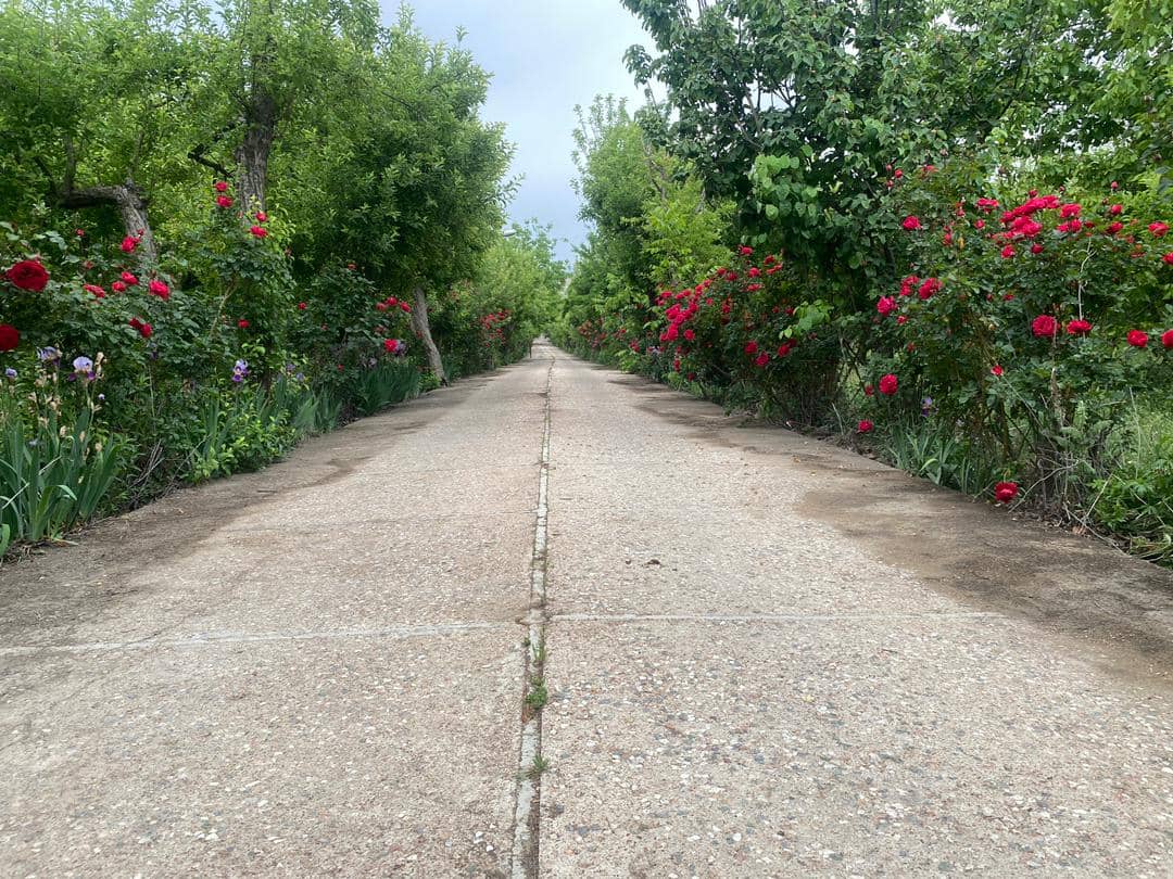 اجاره ویلا در سپیدان