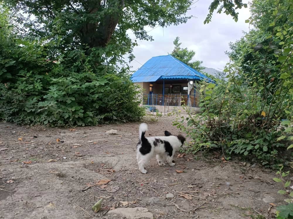 اقامتگاه سنتی در روستای سید آباد فومن
