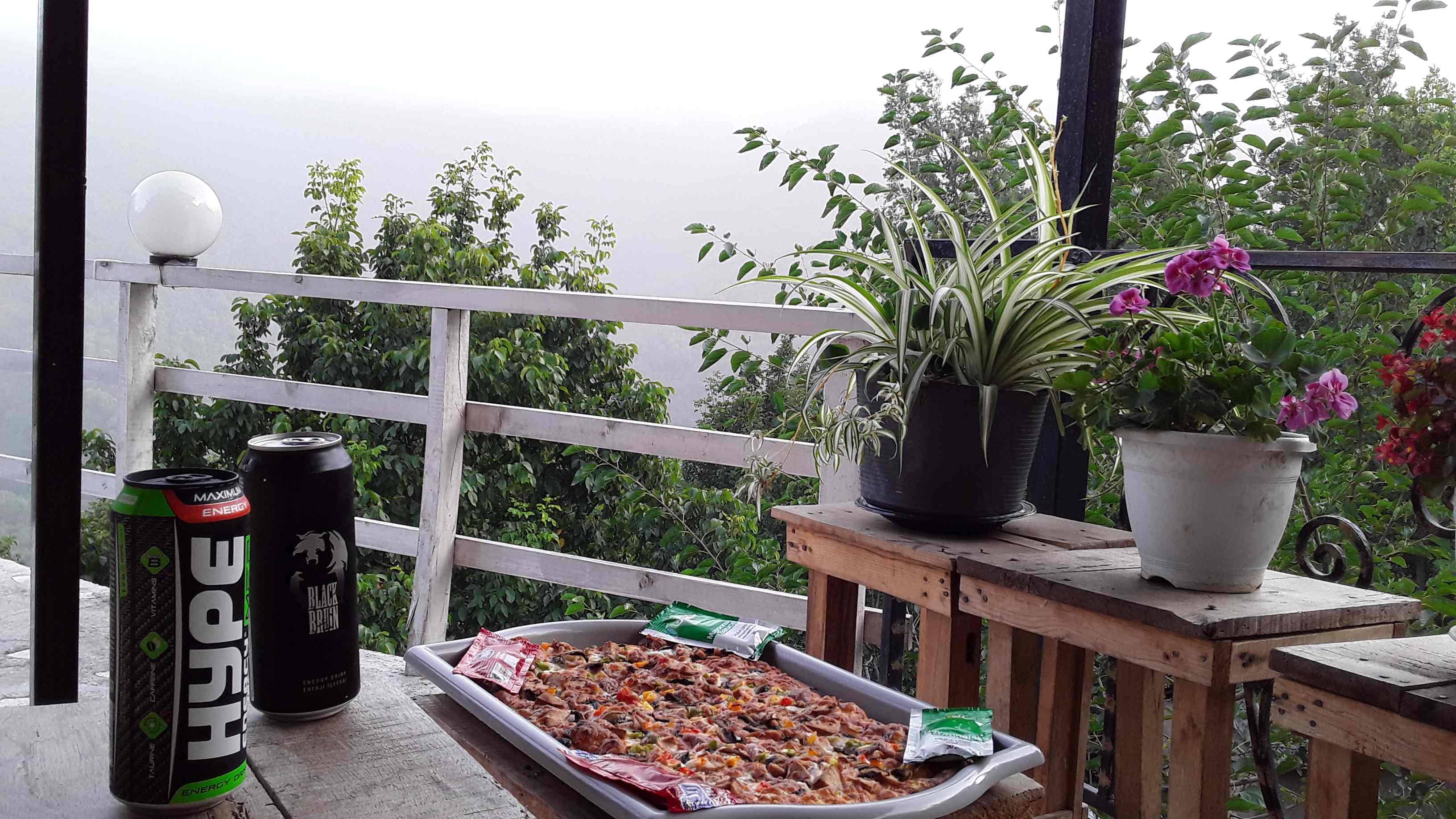 اجاره ویلا جنگلی در کوهسار - تالش