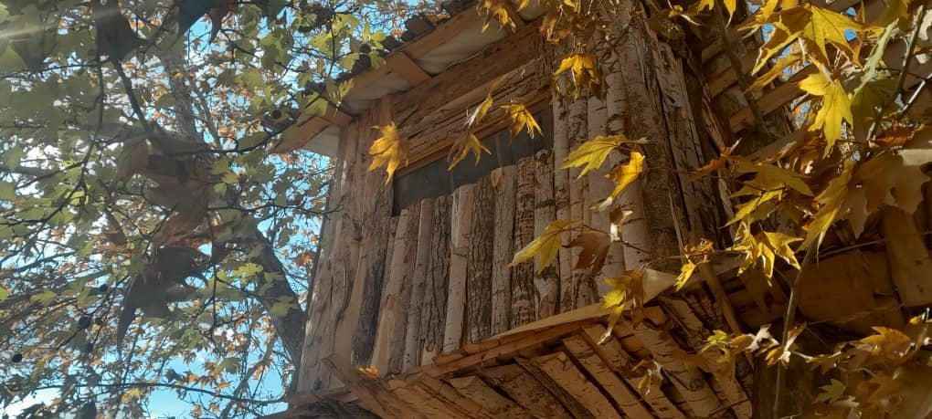 اجاره کلبه درختی در کندر کرج