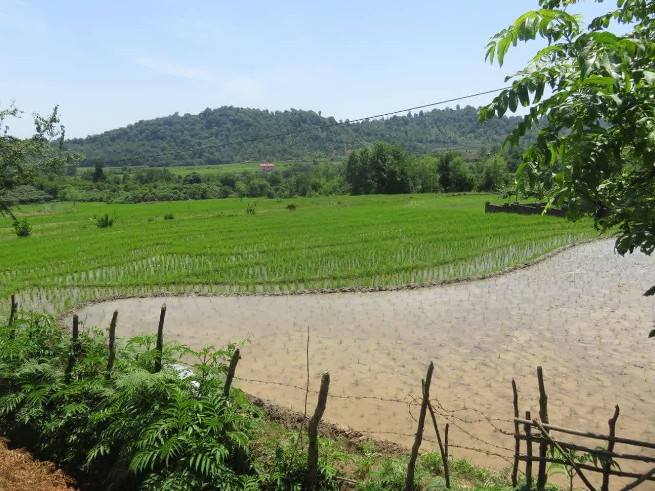 اجاره اتاق در روستای شیرآباد حویق - ویژه