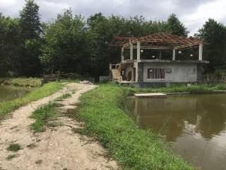 اجاره کلبه جنگلی در پارک جنگلی نور 