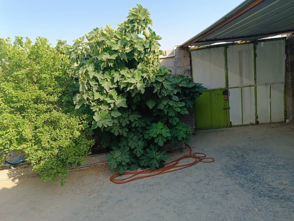 اجاره منزل ویلایی در جم