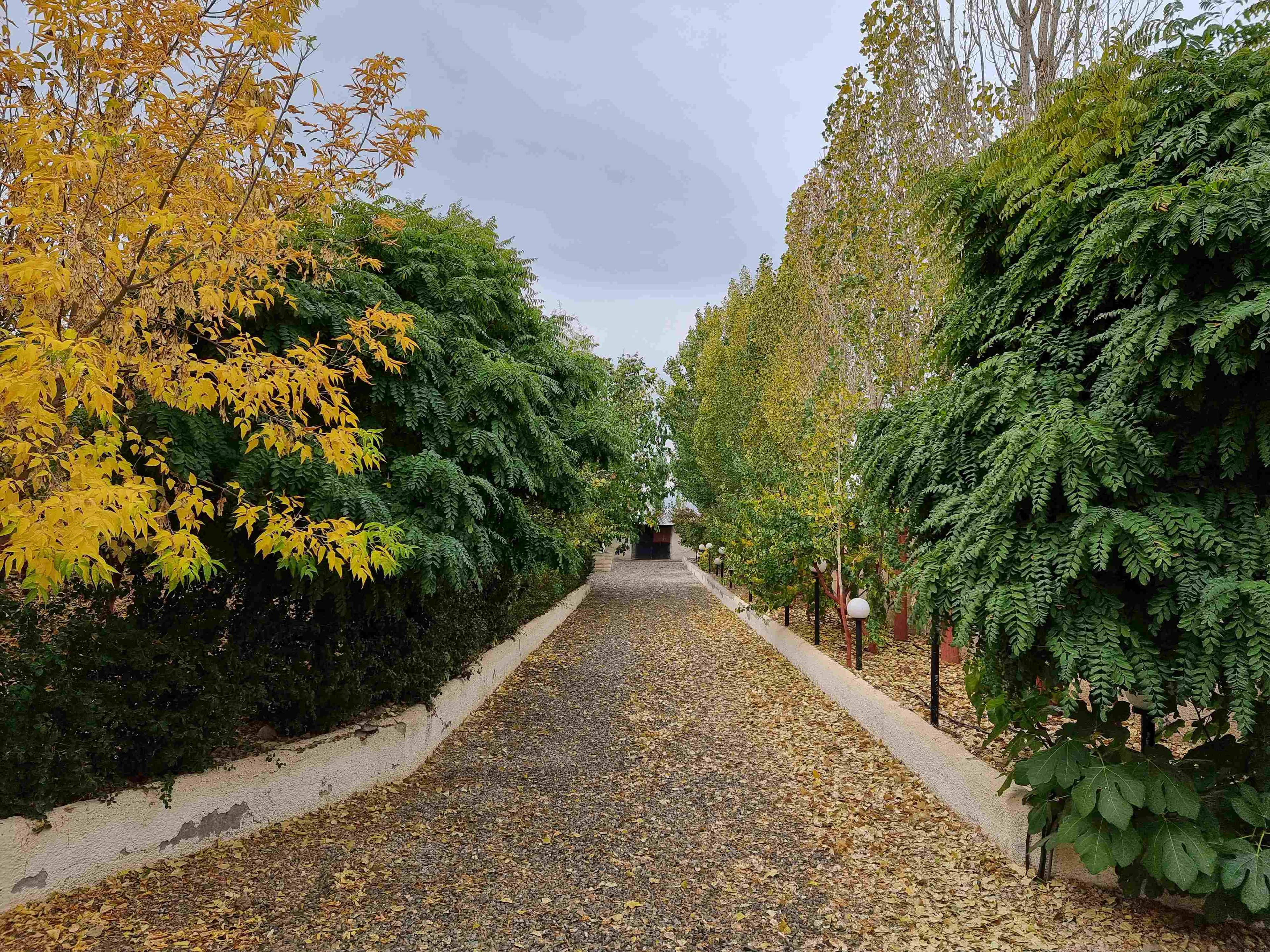 اجاره باغ و ویلا با استخر سرپوشیده در آبسرد - گلدشت