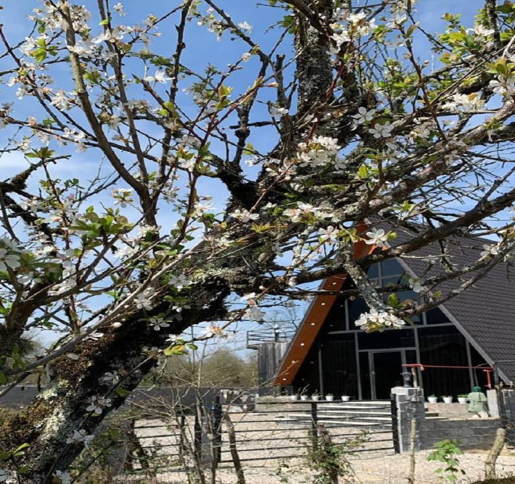 اجاره کلبه چوبی در سیاه بیل اسالم