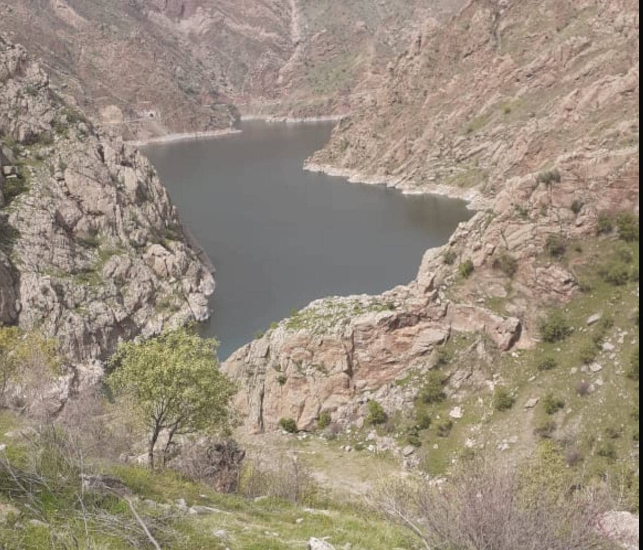 اجاره منزل ویلایی با ویو رو به دریاچه در داریان - پاوه