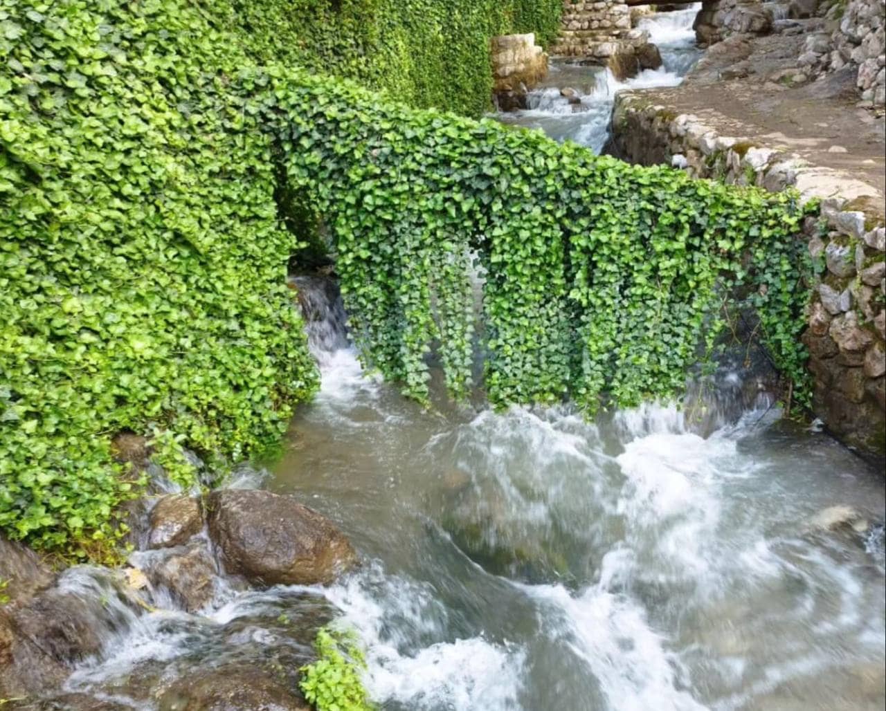 اجاره منزل ویلایی با ویو رو به دریاچه در داریان - پاوه