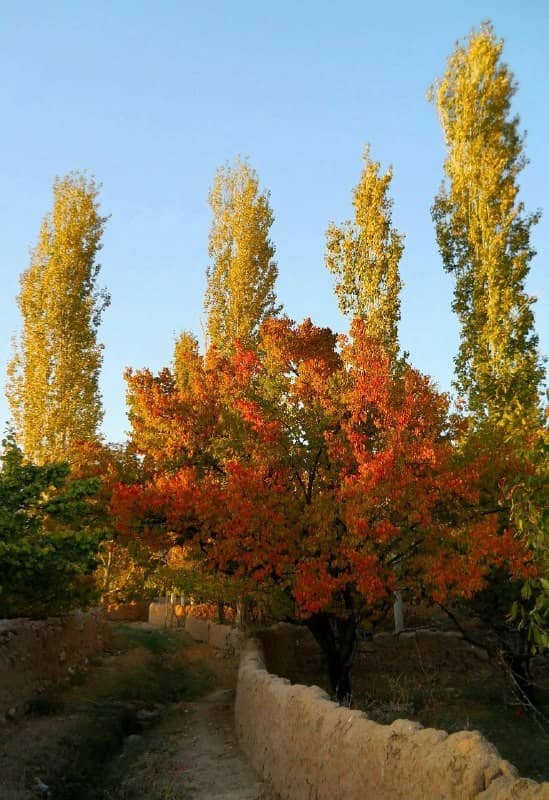 اجاره اقامتگاه بومگردی و خانه سنتی در آزادشهر شاهرود - اتاق 3