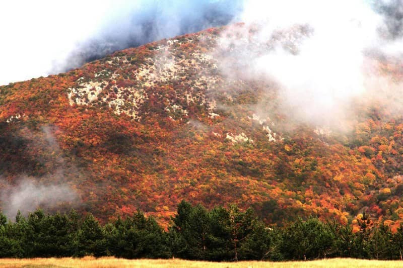 اجاره اقامتگاه و خانه بوم گردی در آزادشهر شاهرود - اتاق 7