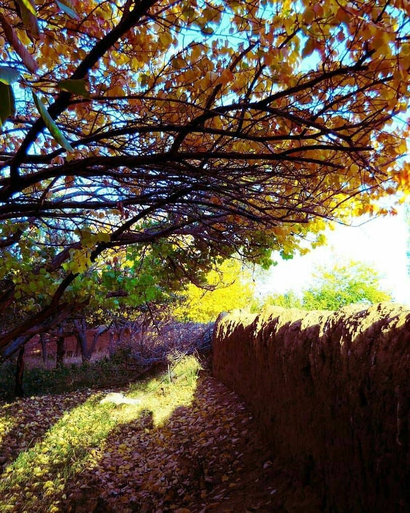 اجاره اقامتگاه بوم گردی سنتی در آزادشهر شاهرود - اتاق 18