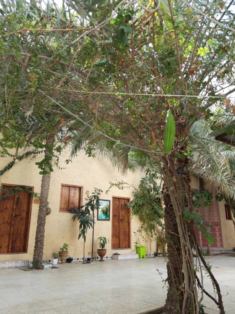 اجاره بومگردی سنتی در طبل قشم - اتاق 14