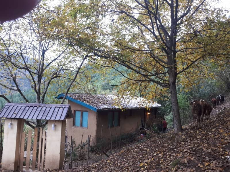 اجاره کلبه کوهستانی در سرولات چابکسر