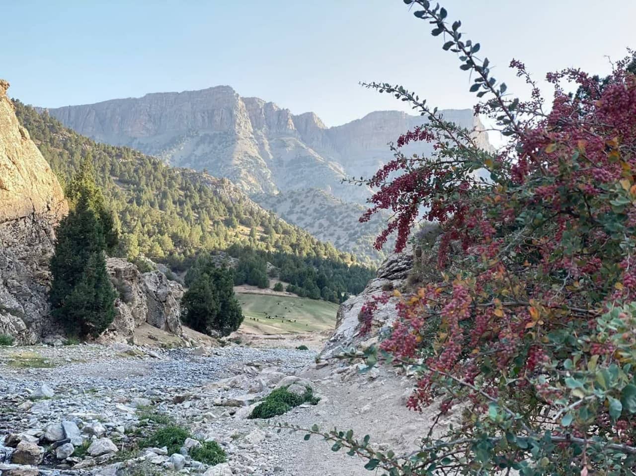 اجاره خانه سنتی در چهارراه کلات نادری - آبشار