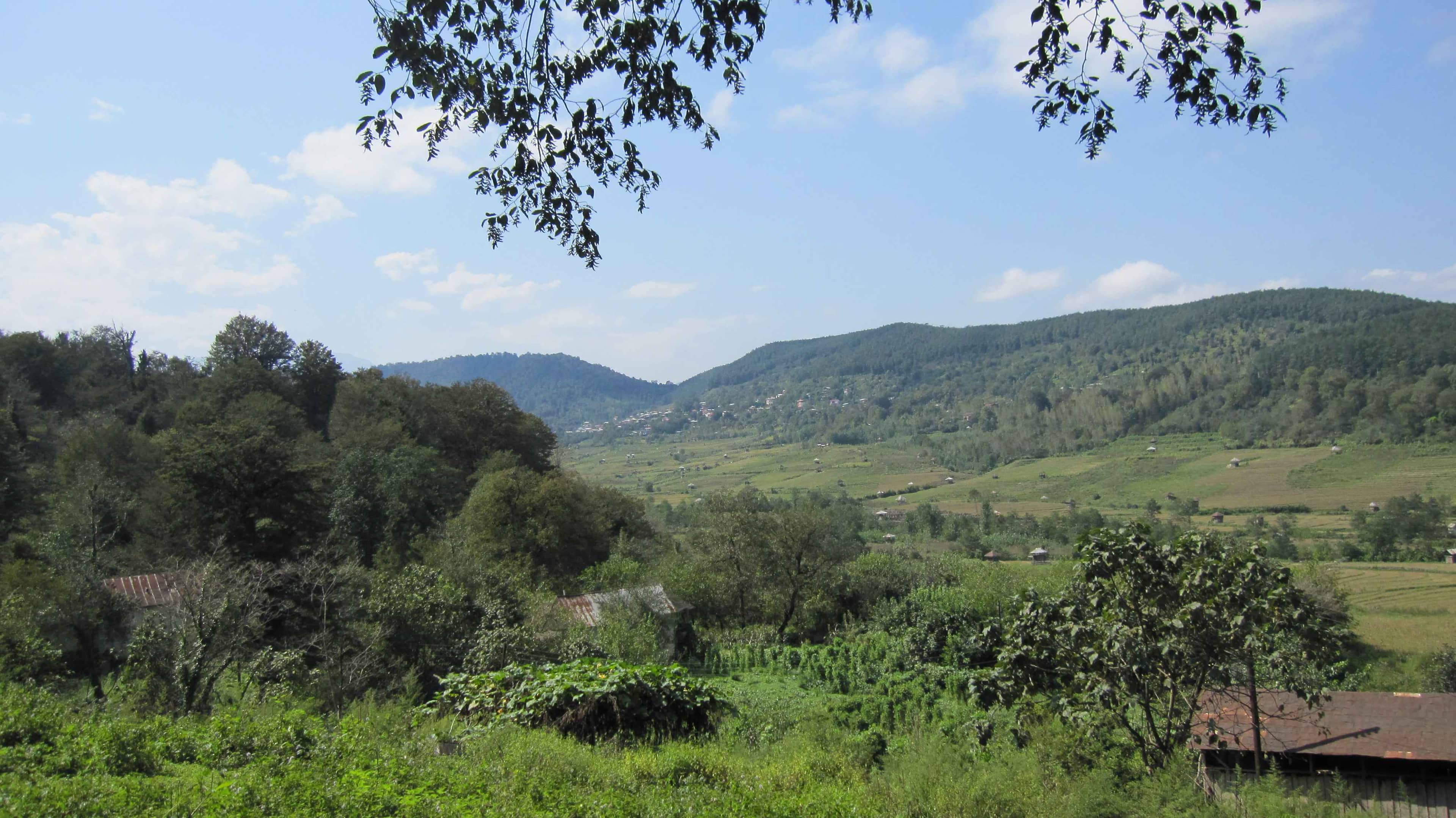 اجاره ویلا جنگلی در درزیکلا شیرگاه