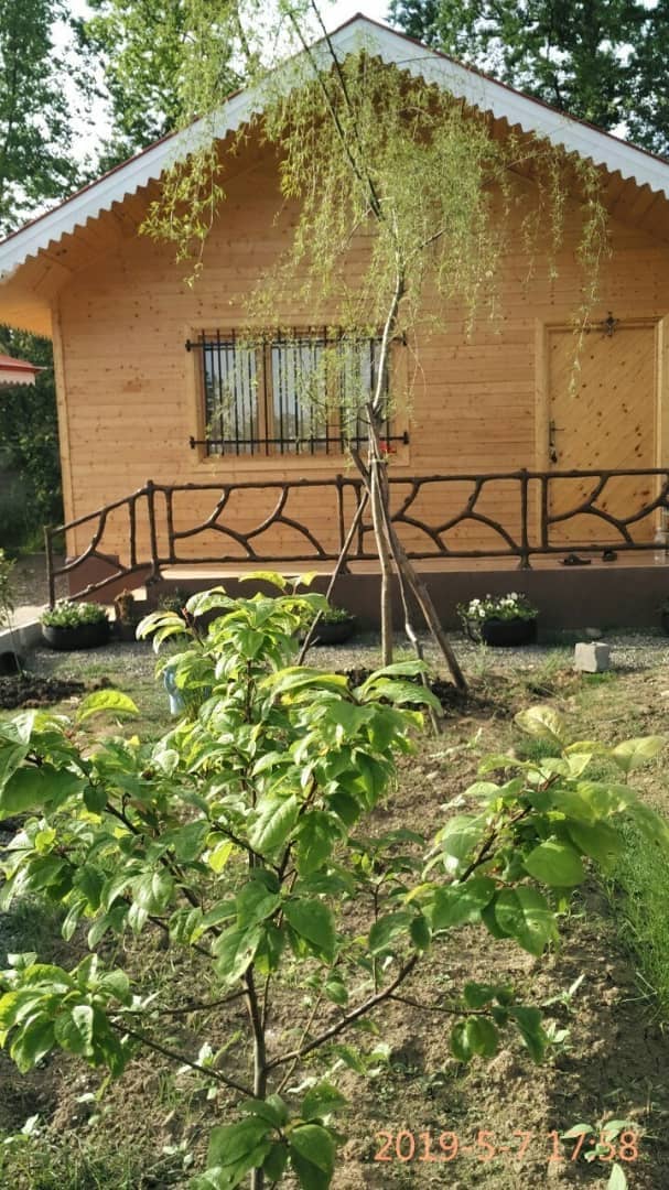 اجاره ویلا دربستی شیک تالش 