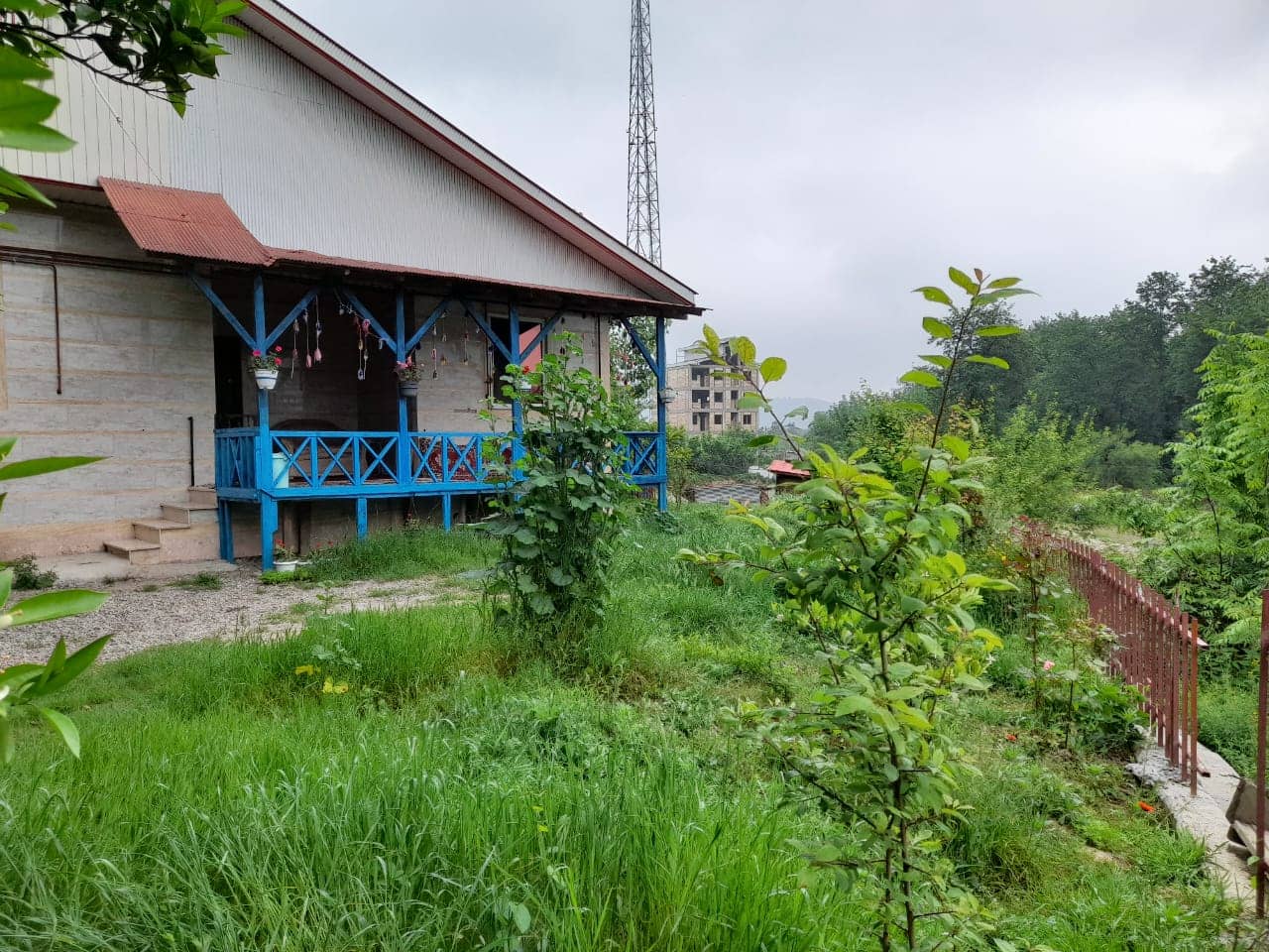 اجاره ویلا جنگلی در روستا لیپا ماسال - همکف