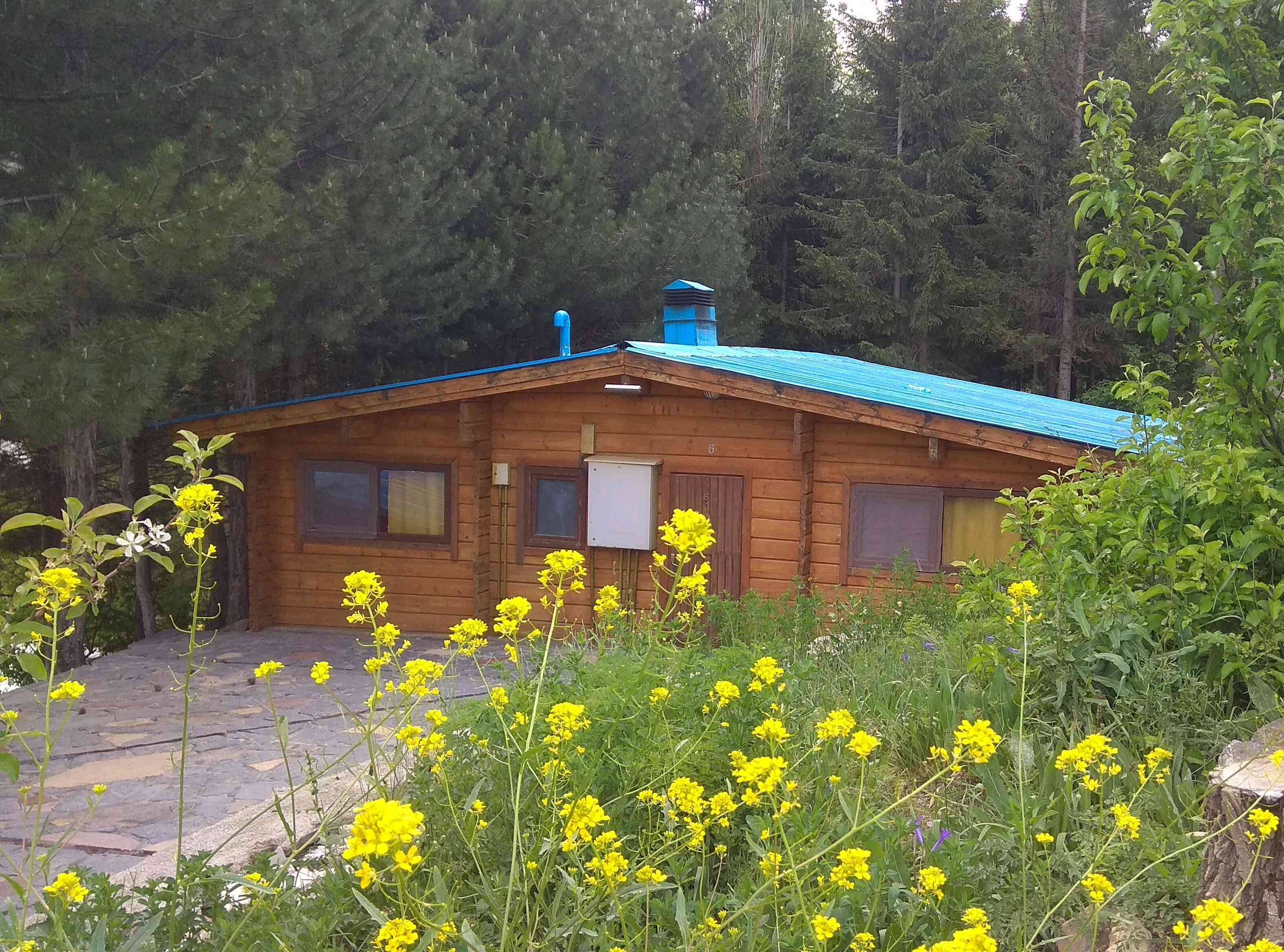 اجاره کلبه چوبی در دیزین ( نزدیک پیست دیزین )