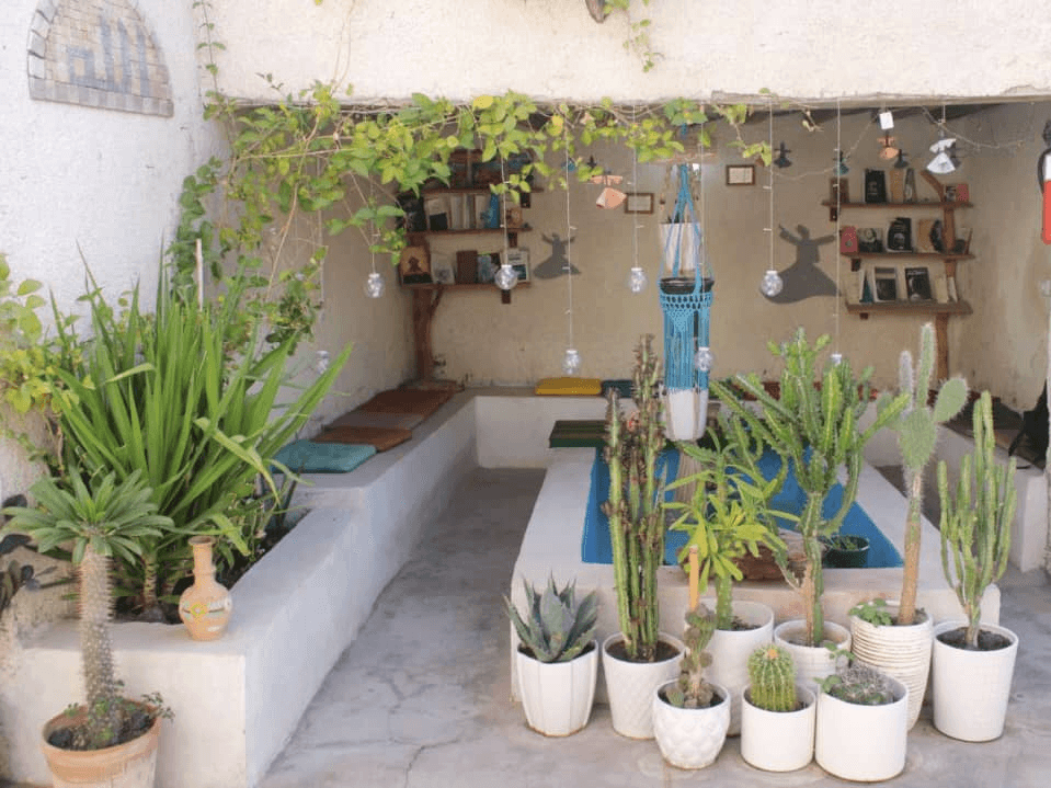 اجاره اتاق دوتخته ساحلی در هرمز - منصور حلاج  حیاط اقامتگاه 