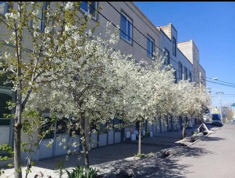 اجاره منزل مبله در دانش مشگین شهر