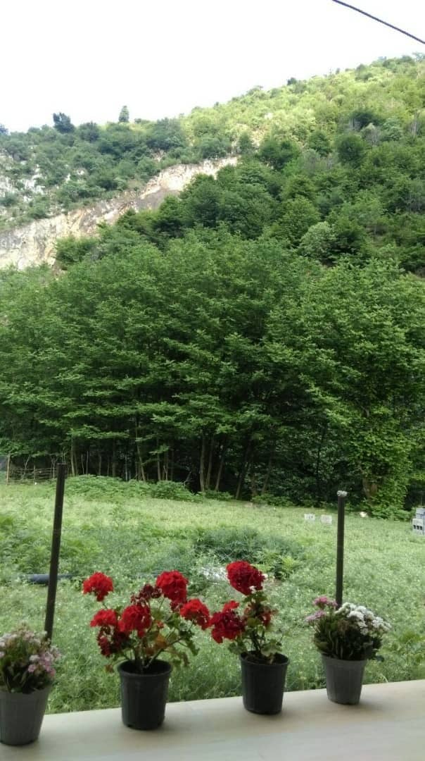 اجاره ویلا جنگلی در جاده گیلوان ماسال