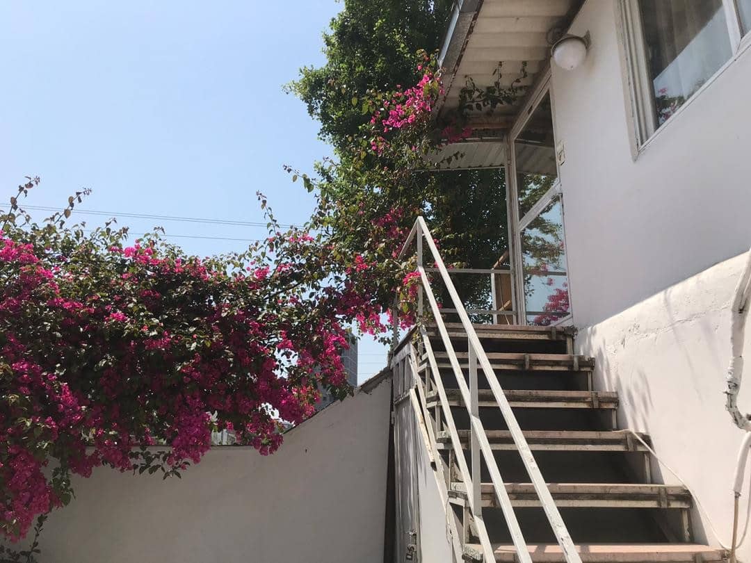 رزرو ویلا ساحلی تک خواب در چمران فریدون کنار - 108