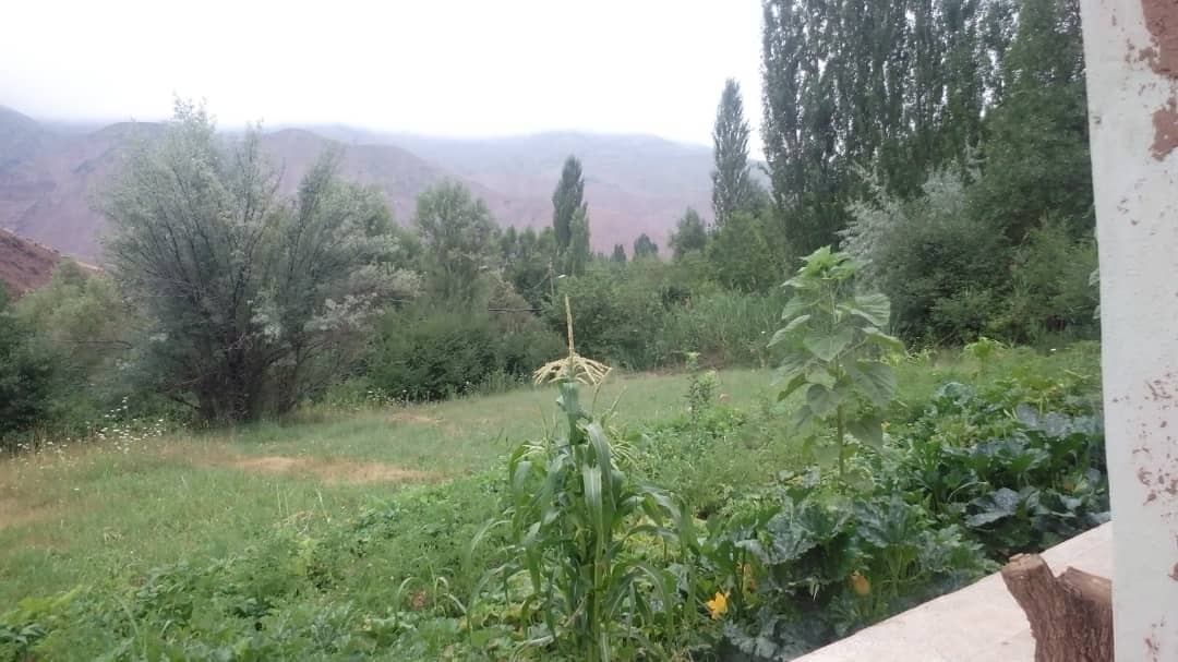 اجاره روزانه سوئیت روستایی در کلایه قزوین