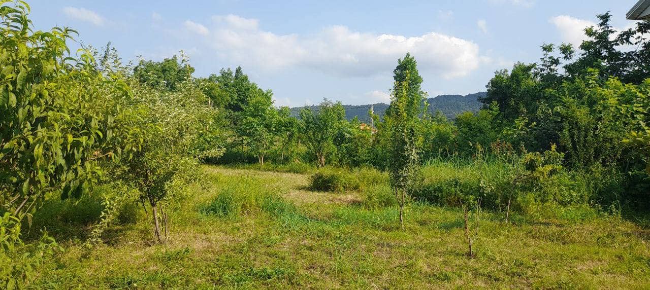 اجاره ویلا دوبلکس در مسیر ییلاقات ماسال